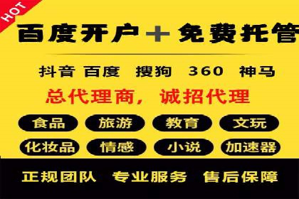 探索SEM竞价代运营公司的服务模式与市场趋势